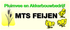 Logo - Mts. Feijen