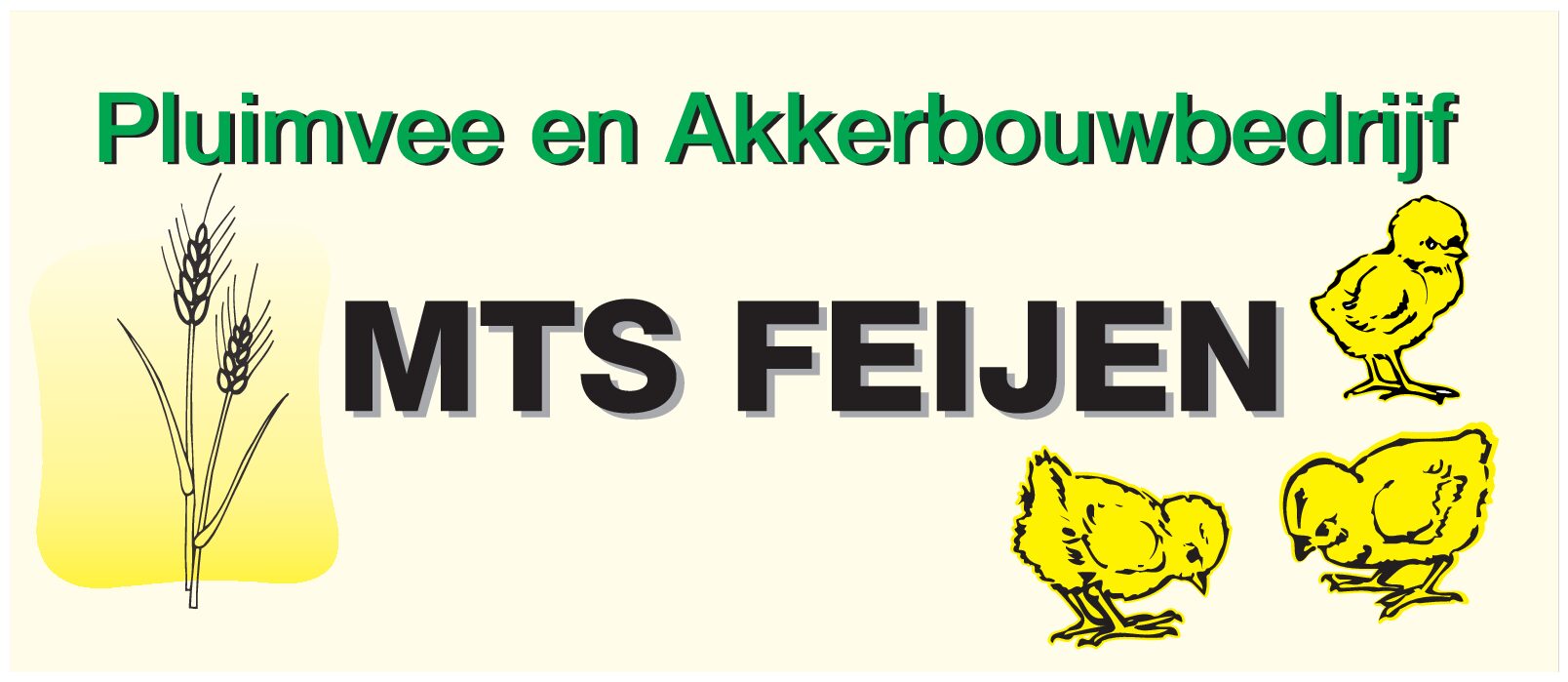Logo - Mts. Feijen