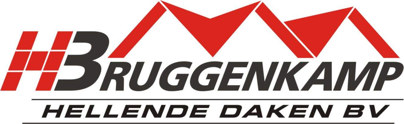 Logo - Hamminga-Bruggenkamp hellende daken